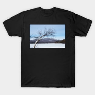 Reaching for the Mountains New Hampshire White Mountains T-Shirt